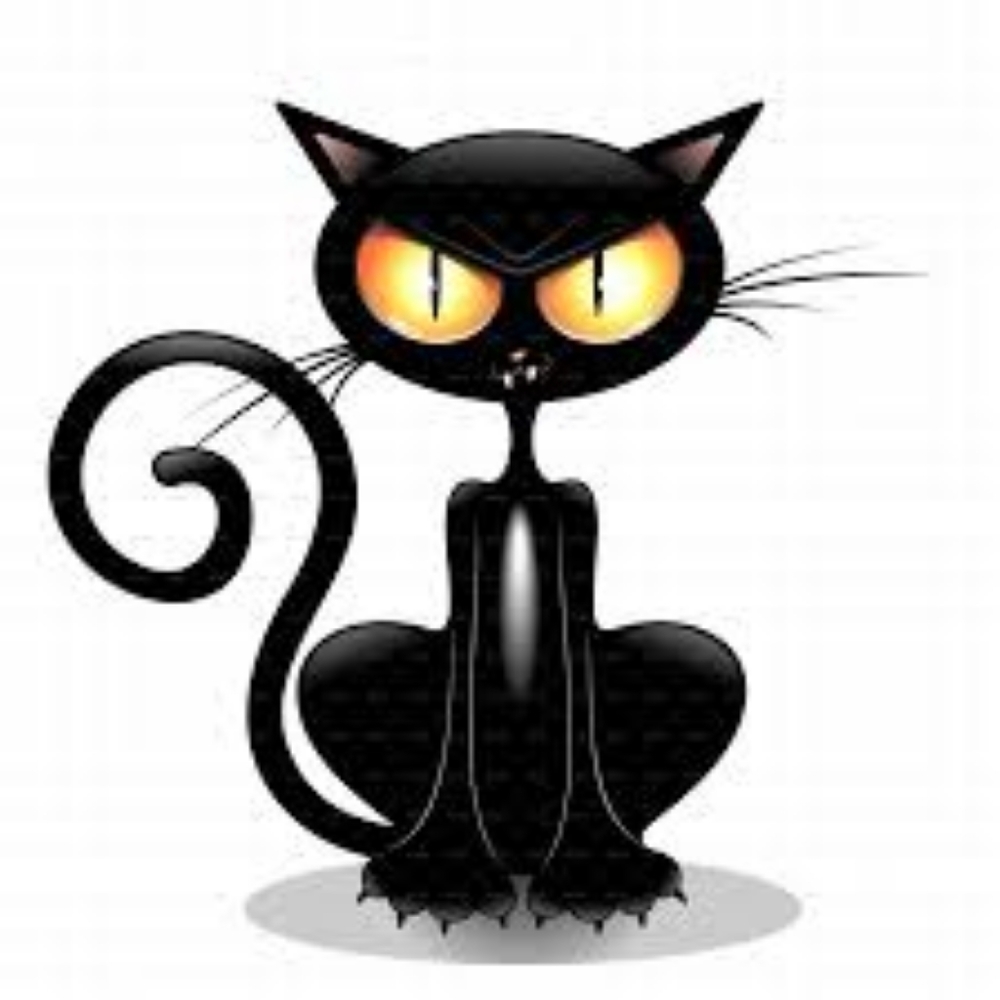 Meet your Posher, Cat